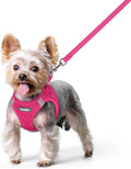 rabbitgoo Dog Harness Small Sized and Leash Set, Step-in Puppy Pet Vest | Light, Soft, Breathable Air Mesh, Easy on and Remove with Hook & Loop, Secure Reflective for Walking, Rose Red XS