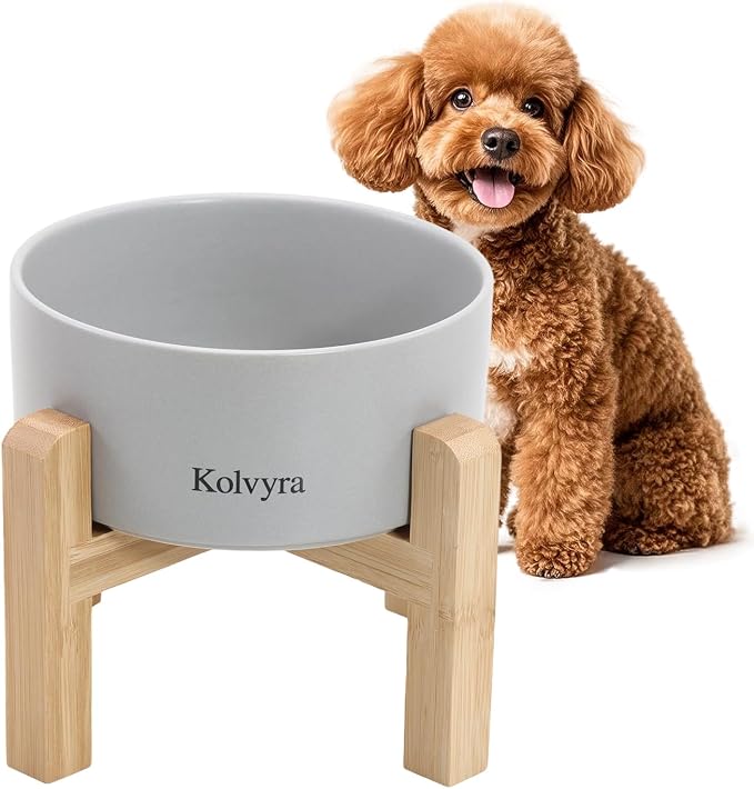 6" Elevated Ceramic Dog Bowl, Anti-Vomiting 23oz for Small Dogs | Premium Food-safe Ceramic with Anti-slip Wood Stand,Dishwasher Safe,Ergonomic Height Relieves Neck Strain,Grey