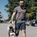 Roses&Poetry Hands Free Dog Leash for Medium Large Dogs Heavy Duty, No Pull Bungee Dog Running Waist Leash for Walking Training with Car Seatbelt 4-6FT