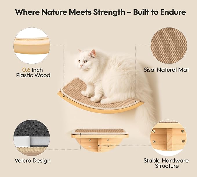 Cat Wall Shelves, Cat Window Perches with Curved Bed & 2 Sisal Mat Steps | Cat Window Perches with Beige Curved Bed & 2 Floating Steps for All Breeds, 3-in-1 Cat Wall Set for Climbing & Lounging