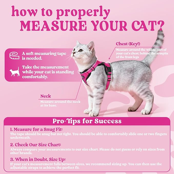 rabbitgoo Cat Harness and Leash Set, Escape Proof Vest, Rose Red | Soft Breathable Mesh, Easy Adjustable Fit, Snap Buckles, Sturdy Clip, Reflective Strips, for Kittens & Small Cats Walks, Xxs