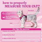 rabbitgoo Cat Harness and Leash Set, Escape Proof Vest, Rose Red | Soft Breathable Mesh, Easy Adjustable Fit, Snap Buckles, Sturdy Clip, Reflective Strips, for Kittens & Small Cats Walks, Xxs