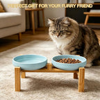 Shallow Elevated Cat Bowls with Bamboo Stand, 6.1 Inch Wide Ceramic Cat Dish Whisker Friendly, 2 Pack Pet Food and Water Plates