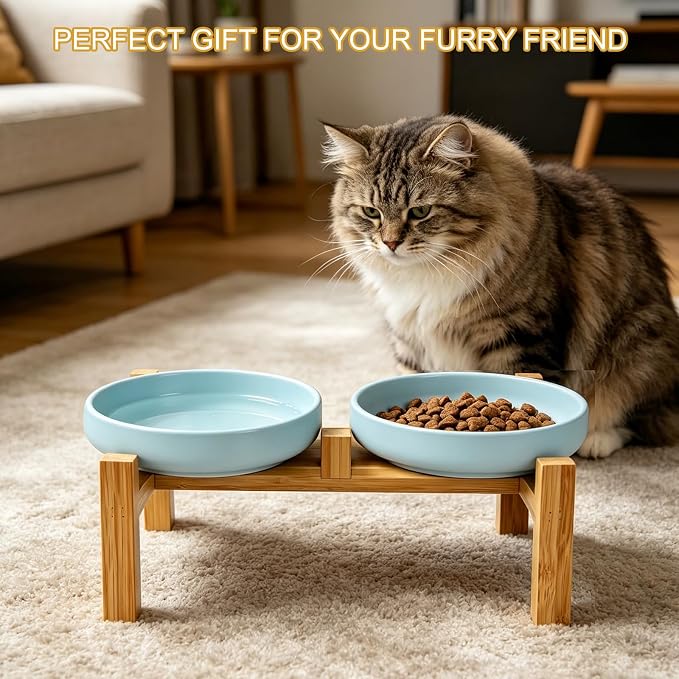 Shallow Elevated Cat Bowls with Bamboo Stand, 6.1 Inch Wide Ceramic Cat Dish Whisker Friendly, 2 Pack Pet Food and Water Plates