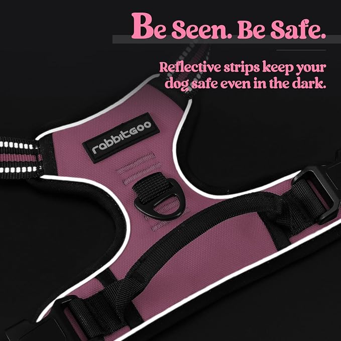 rabbitgoo Dog Harness No Pull with 2 Leash Clips, Adjustable Soft Padded, Reflective Oxford No Choke Pet Vest with Easy Control Handle for Large Dogs, Pink, XL | No Choke with Handle, Adjustable Soft Padded, Reflective, Easy Control for Walking, Pink, ...