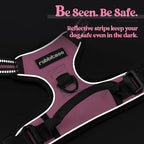 rabbitgoo Dog Harness No Pull with 2 Leash Clips, Adjustable Soft Padded, Reflective Oxford No Choke Pet Vest with Easy Control Handle for Large Dogs, Pink, XL | No Choke with Handle, Adjustable Soft Padded, Reflective, Easy Control for Walking, Pink, ...