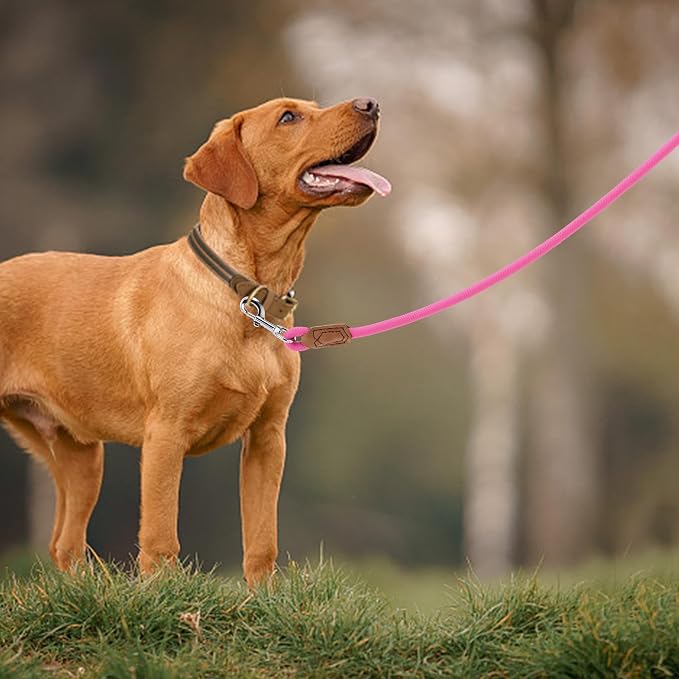 Mile High Life Dog Leash with Genuine Leather Handle, 6 FT/5 FT/4 FT | Leather Grip Rope Leash, Heavy Duty 360° Swivel Metal Clasp, for Small Medium & Large Dogs