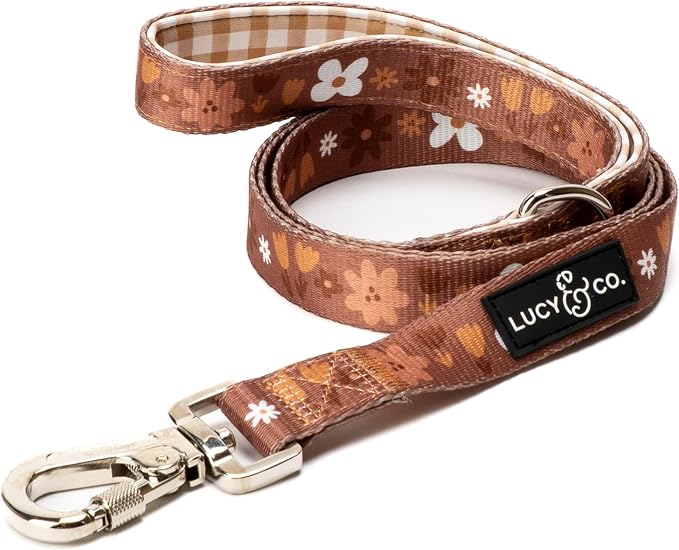 Lucy & Co. 5 Foot Designer Dog Leash for Small, Medium or Big Dogs or Puppies Puppy - Pet Accessories & Supplies -(Chocolate Meadow, Large)