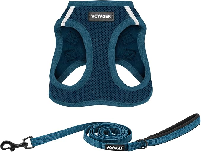 Best Pet Supplies Voyager Step-in Air All Weather Mesh Harness and Reflective Dog 5ft Leash Combo with Neoprene Handle, for Small, Medium and Large Breed Puppies - Blue, XXX-Small