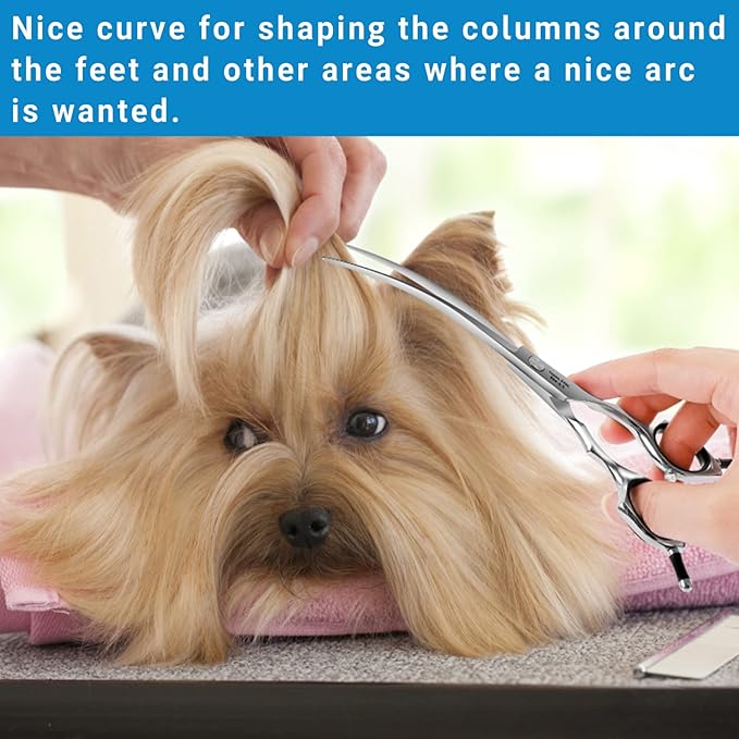HASHIMOTO Curved Dog Grooming Scissors, 6.5 inch, Trimming Face and Paws. | Sharp, lightweight, 440C Stainless Steel, 30 Degree of Curved Blade