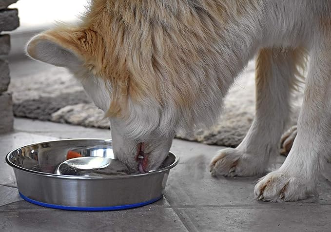 OurPet's Durapet Slow Feed Premium Stainless Steel Dog Bowl, Silver, Large (2040010302) | Helps pace rapid eaters, durable easy clean design, an alternative to snuffle mats for calmer mealtimes, a sturdy daily dish