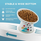 Necoichi Ceramic Elevated Cat Food Bowl, 15° Tilted (Fuji, Regular Tilted)