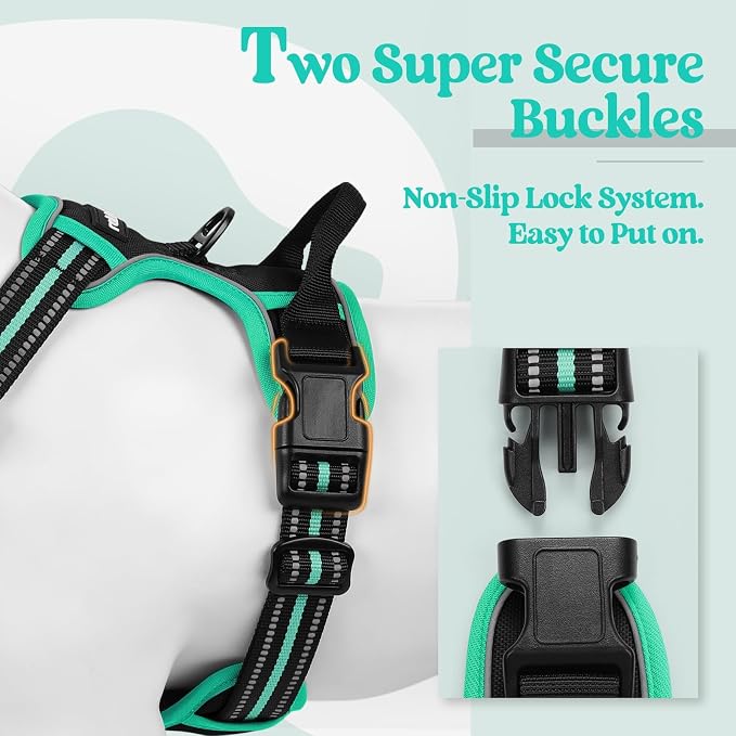 rabbitgoo Dog Harness, No Pull Medium Sized with 2 Leash Clips, Pet Vest | No Choke with Handle, Adjustable Soft Padded, Reflective, Easy Control for Walking, Black & Turquoise, Medium