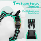 rabbitgoo Dog Harness, No Pull for Small Dogs with 2 Leash Clips, Pet Vest | No Choke with Handle, Adjustable Soft Padded, Reflective, Easy Control for Walking, Black & Turquoise, Small