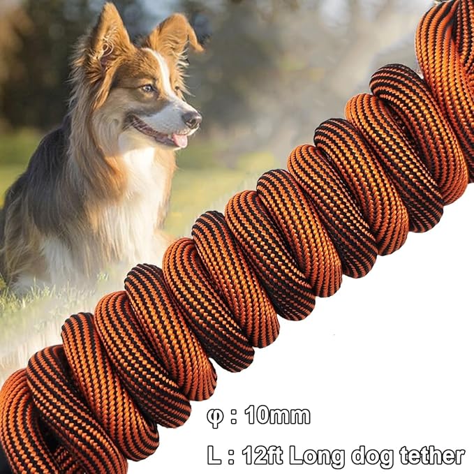 BTINESFUL Dog Tie Out Long Tether Rope Dog Lead for Yard 8/12/20/30/50/75ft | Check Cord Training Dog Line for Large Medium Small Dogs Outdoor Playing, Camping, or Backyard (12ft, Orange Black)