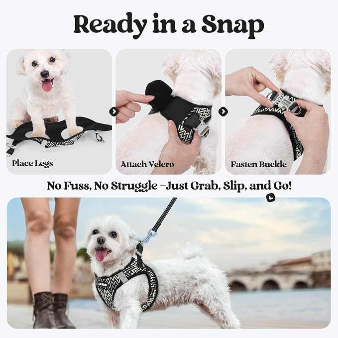 rabbitgoo Dog Harness Medium Sized and Leash Set, Step-in Puppy Pet Vest | Light, Soft, Breathable Air Mesh, Easy on and Remove with Hook & Loop, Secure Reflective for Walking, Black Zigzag L