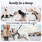 rabbitgoo Dog Harness Small Sized and Leash Set, Step-in Puppy Pet Vest | Light, Soft, Breathable Air Mesh, Easy on and Remove with Hook & Loop, Secure Reflective for Walking, Black Zigzag XXS