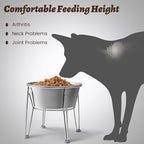 Elevated Dog Bowls for Large & Medium Dogs - Stainless Steel 64oz/8 Cup Raised Feeder with Non-Slip Base, Dual Food & Water Bowls 2-Pack
