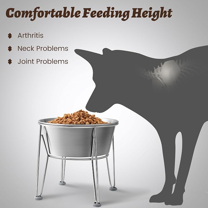 Elevated Dog Bowls for Large & Medium Dogs - Stainless Steel 64oz/8 Cup Raised Feeder with Non-Slip Base, Dual Food & Water Bowls 2-Pack