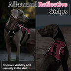 rabbitgoo Escape Proof Dog Harness for Large, No Pull with Lift Handle | No Escape, Full Soft Padded, Reflective Adjustable Vest, Leash Clip for Walking Hiking Training, Pink, Large
