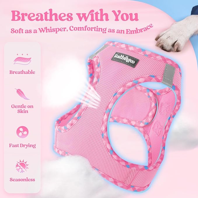 rabbitgoo Dog Harness Small Sized and Leash Set, Step-in Puppy Pet Vest | Light, Soft, Breathable Air Mesh, Easy on and Remove with Hook & Loop, Secure Reflective for Walking, Pink & Plaid Trim S