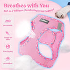 rabbitgoo Dog Harness Small Sized and Leash Set, Step-in Puppy Pet Vest | Light, Soft, Breathable Air Mesh, Easy on and Remove with Hook & Loop, Secure Reflective for Walking, Pink & Plaid Trim S