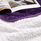 Soft Waterproof Blanket for Bed Couch Sofa, Dark Purple, 60x80inches | Liquid Pee Proof Pet Blanket for Dog Puppy Cat, Reversible Sherpa Fleece Blanket for Couch Cover, Furniture Protector
