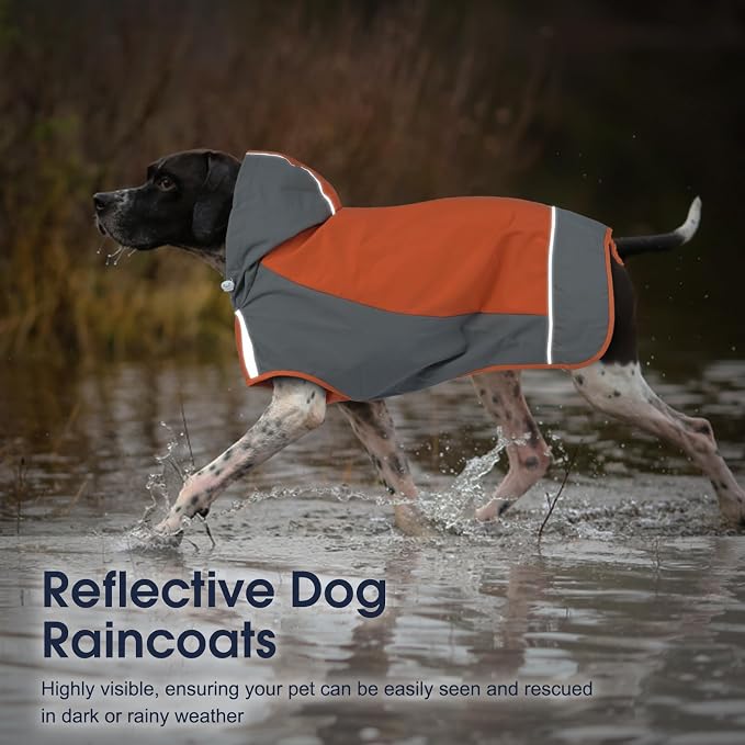 IECOii Dog Raincoat,Waterproof Rain Jacket for Medium Dogs,Adjustable Pet Rain Coat with Magic Sticker Closure,Reflective Doggy Raincoat with Hood,Perfect for Night Walking,Orange,M