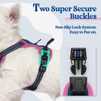 rabbitgoo Dog Harness, No Pull for Small Dogs with 2 Leash Clips, Pet Vest | No Choke with Handle, Adjustable Soft Padded, Reflective, Easy Control for Walking, Blue & Hot Pink, X-Small