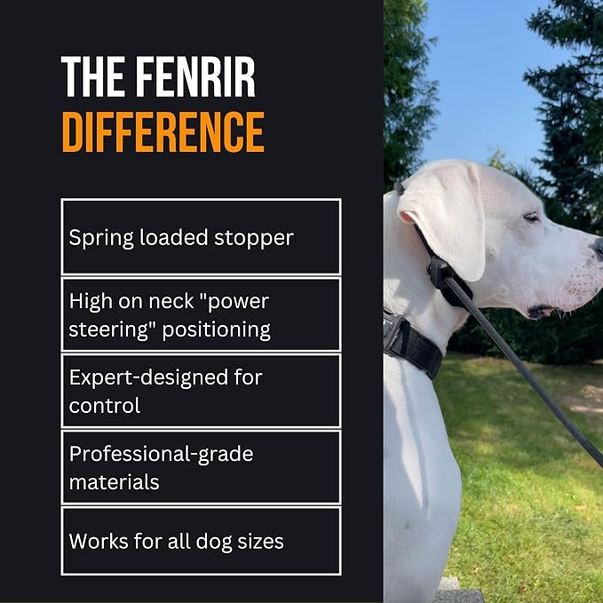 Fenrir Slip Leash 1.4m Professional Dog Training Lead to Stop Pulling, Perfect for Walks, Easy to Use, Spring Loaded Stopper, Light Weight and Durable (Green)