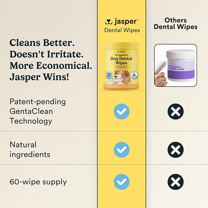 Jasper Dog Dental Wipes, Finger Tooth Wipes for Dogs, Coconut 60-Count | No-Brush Dual Texture Disposable Wipes for Fresh Breath, Daily Plaque & Tartar Control with Natural Ingredients, Vet Approved