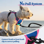 rabbitgoo Dog Harness, No Pull for Small Dogs with 2 Leash Clips, Pet Vest | No Choke with Handle, Adjustable Soft Padded, Reflective, Easy Control for Walking, Blue & Hot Pink, X-Small