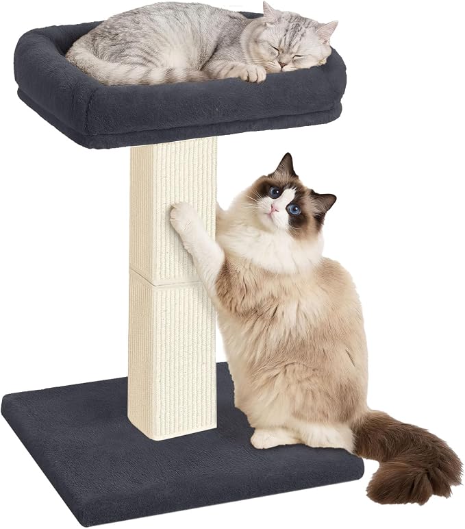 Cat Scratching Post with Plush Perch for Indoor Cats, 32 Inch | Removable & Washable Cover, Sisal Scratcher With a Large Bed, Heavy Duty Post for Cat Adults to Protect Furniture, Dark Grey