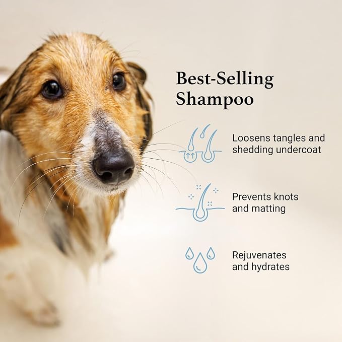 iGroom Deshedding & Detangling Dog Shampoo, Luxury Pet Beauty Care, Loosen Tangles + Unwanted Undercoat, Adds Shine + Volume, Made in USA (16 OZ)
