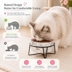 Dazzling Ceramic Elevated Cat Bowls, Gift for Cat Owner, Birthday (Medium,Grey)