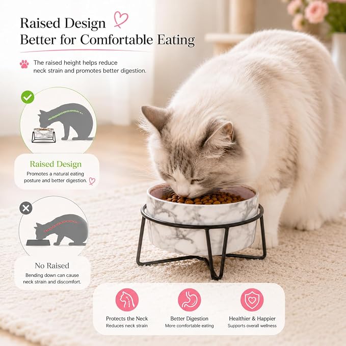 Dazzling Ceramic Elevated Cat Bowls, Raised Dog Pet Cat Food Water Bowl for Indoor (Grey, Large)
