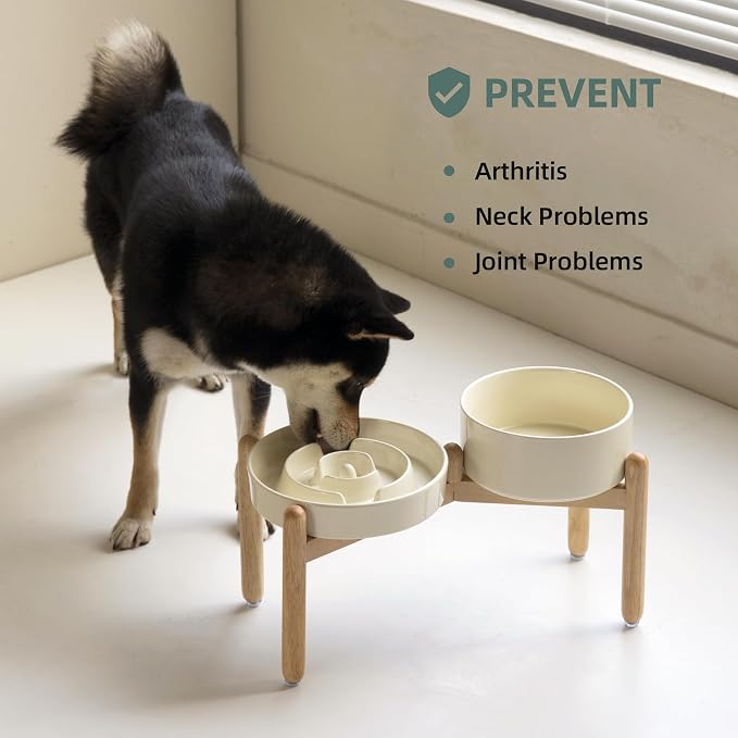 Havniva Elevated Slow Feeder Dog Bowls, Ceramic Dog Bowl Slow Feeder Set | 1.6 Cups Raised Slow Feeding Bowl for Medium Breed, 7.3” Dog Water Bowl with Wooden Stand, Puzzle Dog Slow Feeder, Non-slip