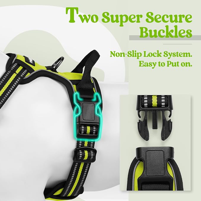 rabbitgoo Dog Harness, No Pull for Small Dogs with 2 Leash Clips, Pet Vest | No Choke with Handle, Adjustable Soft Padded, Reflective, Easy Control for Walking, Wild Lime, Small