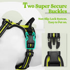 rabbitgoo Dog Harness, No Pull for Small Dogs with 2 Leash Clips, Pet Vest | No Choke with Handle, Adjustable Soft Padded, Reflective, Easy Control for Walking, Wild Lime, Small