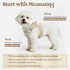 rabbitgoo Dog Harness Medium Sized and Leash Set, Step-in Puppy Pet Vest | Light, Soft, Breathable Air Mesh, Easy on and Remove with Hook & Loop, Secure Reflective for Walking, Beige Check L