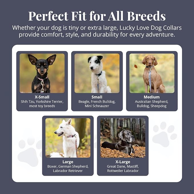 Lucky Love Dog - Adjustable Dog Collar with Easy Click Buckle for Medium Dogs, Durable, & Comfortable Collar for Male & Female Dogs, Pet Collar for Puppies & Adult Dogs - Zuzu, Medium