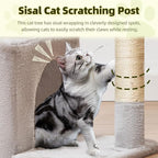 Taoqimiao 32.2in Cat Tree with Toy, Small Cat Tower for Indoor Cats, MS043W | Easy assembly, Sturdy, Multi Level, Easy Clean, Cozy Condo, Perches, Baskets, Suitable for Kittens and Adult Cats