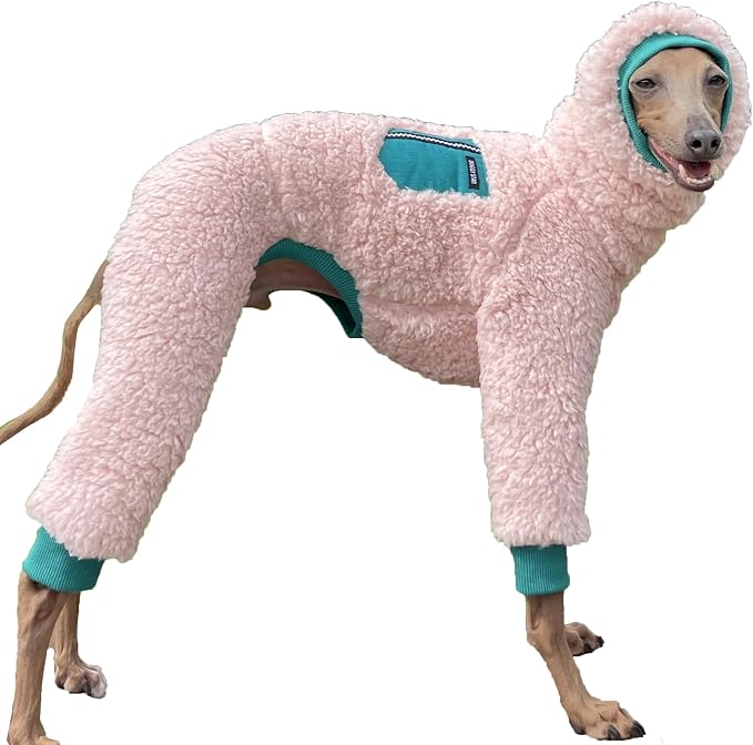 D Doggy Star Italian Greyhound Sweater Turtleneck Outfit Warm Fleece Onesie Clothes Whippet for Dog Coat (XL,Green Pkt)