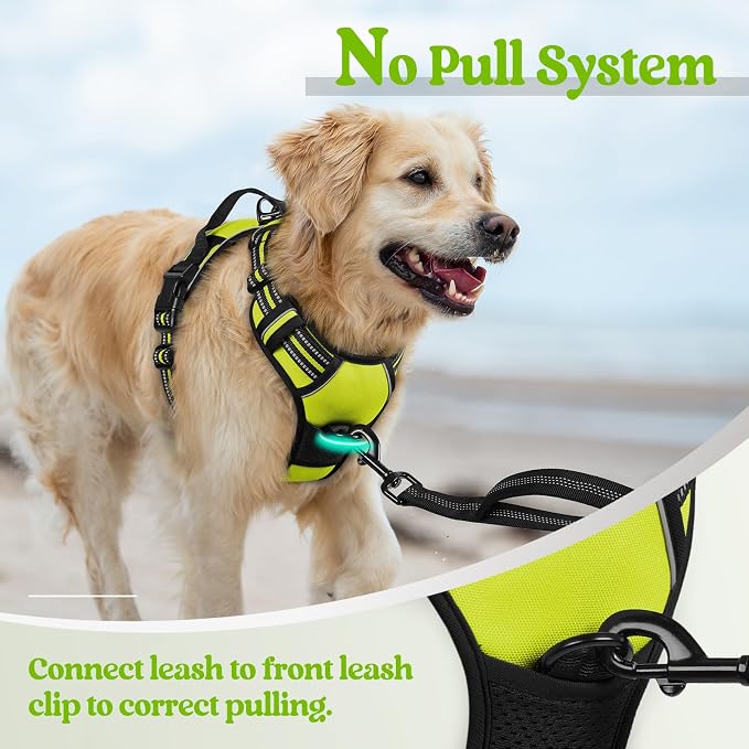 rabbitgoo Dog Harness, No Pull for Small Dogs with 2 Leash Clips, Pet Vest | No Choke with Handle, Adjustable Soft Padded, Reflective, Easy Control for Walking, Wild Lime, Small