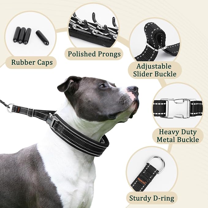 Mayerzon Prong Collar for Large Medium Dogs with Metal Buckle | No Pull Pinch Collar with Hidden Covered Walking Training for Pitbull German Shepherd Doberman Patented