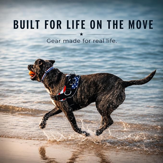 ShawnCo Essential Dog Harness, No-Pull Pet Vest with 3 Leash Clips, No Choke, Reflective, Adjustable and Padded, for Easy Walking and Training for Small, Medium and Large Dogs (Stars and Stripes, XS)