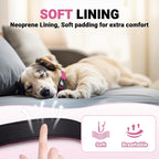 AirTag Dog Collar and Leash, IP68 Waterproof Integrated with Reflective, Ultra-Durable, Comfortable Padded, Heavy Duty Dog Collars for Small Medium Large Dogs, S (10.6"-13.6"), Pink