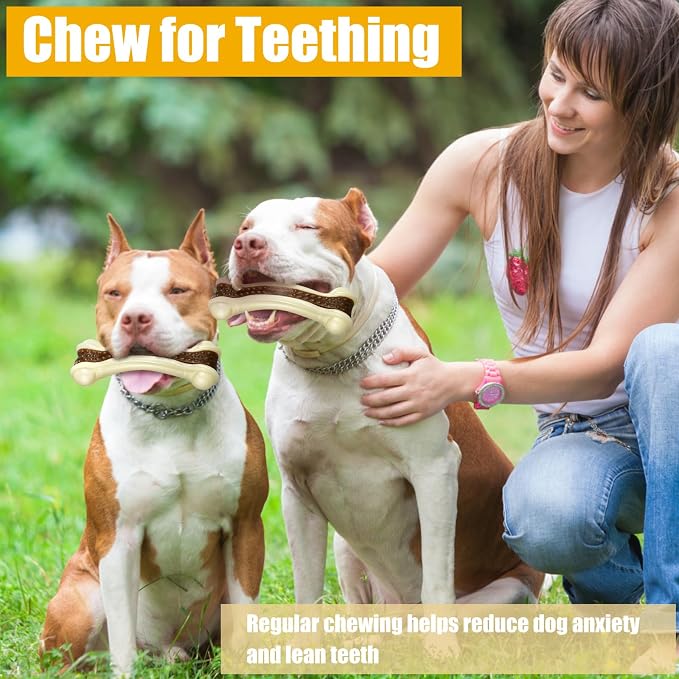 Sosation 10 Pcs Dog Chew Toys for Aggressive Chewers Nylon Beef Flavor Dog Bones Tough Puppy Teething Toys Puppy Chew Bones for Large/Medium/Small Breed Dogs Puppies (5.1 x 2 Inch)