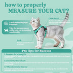 rabbitgoo Cat Harness and Leash Set, Escape Proof Vest, Emerald | Soft Breathable Mesh, Easy Adjustable Fit, Snap Buckles, Sturdy Clip, Reflective Strips, for Medium to Large Cats Walks, M