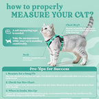 rabbitgoo Cat Harness and Leash Set, Escape Proof Vest, Emerald | Soft Breathable Mesh, Easy Adjustable Fit, Snap Buckles, Sturdy Clip, Reflective Strips, for Small & Average Cats Walks, Xs